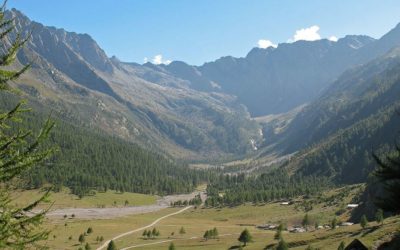 19 luglio 1706: accadde oggi, ieri, ier l’altro: buone notizie arrivano in città